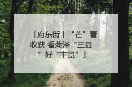 府东街丨“芒”着收获 看菏泽“三夏”好“丰景”